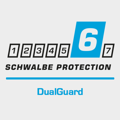 DualGuard